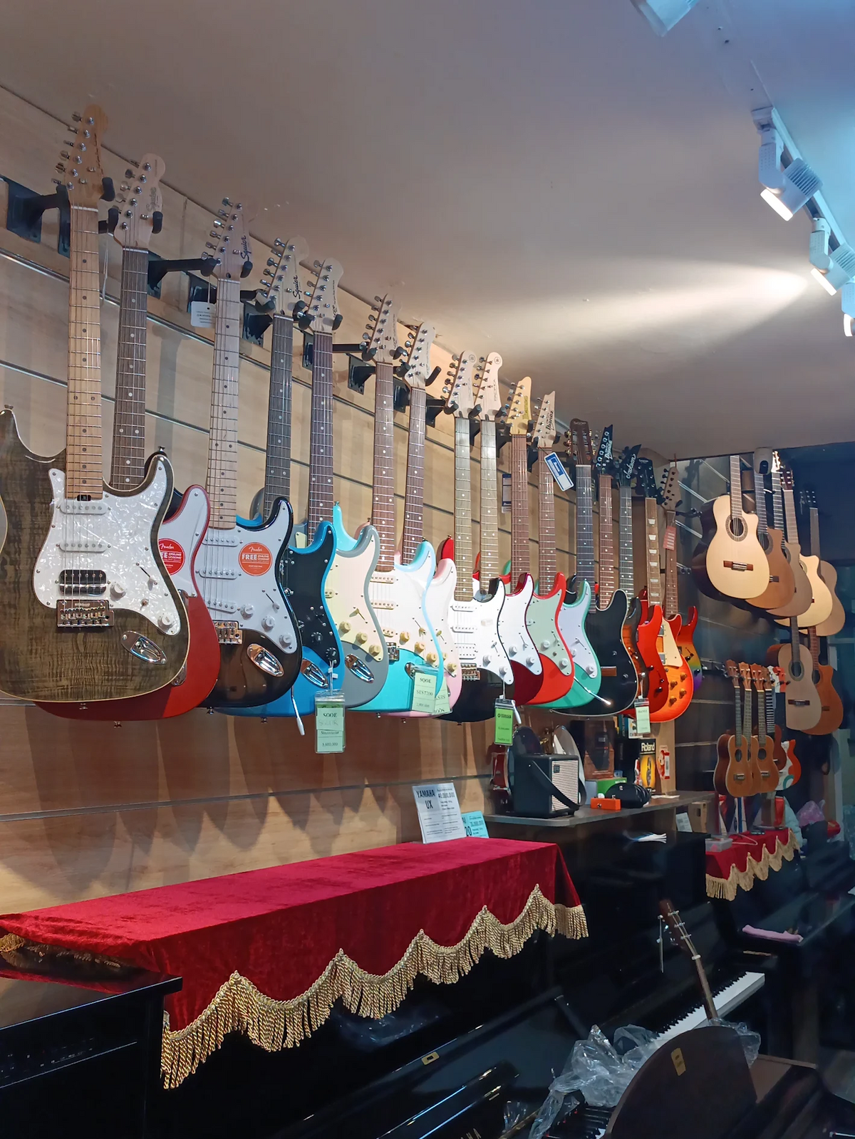 Showroom Guitar Điện Tại TP.HCM & Hà Nội