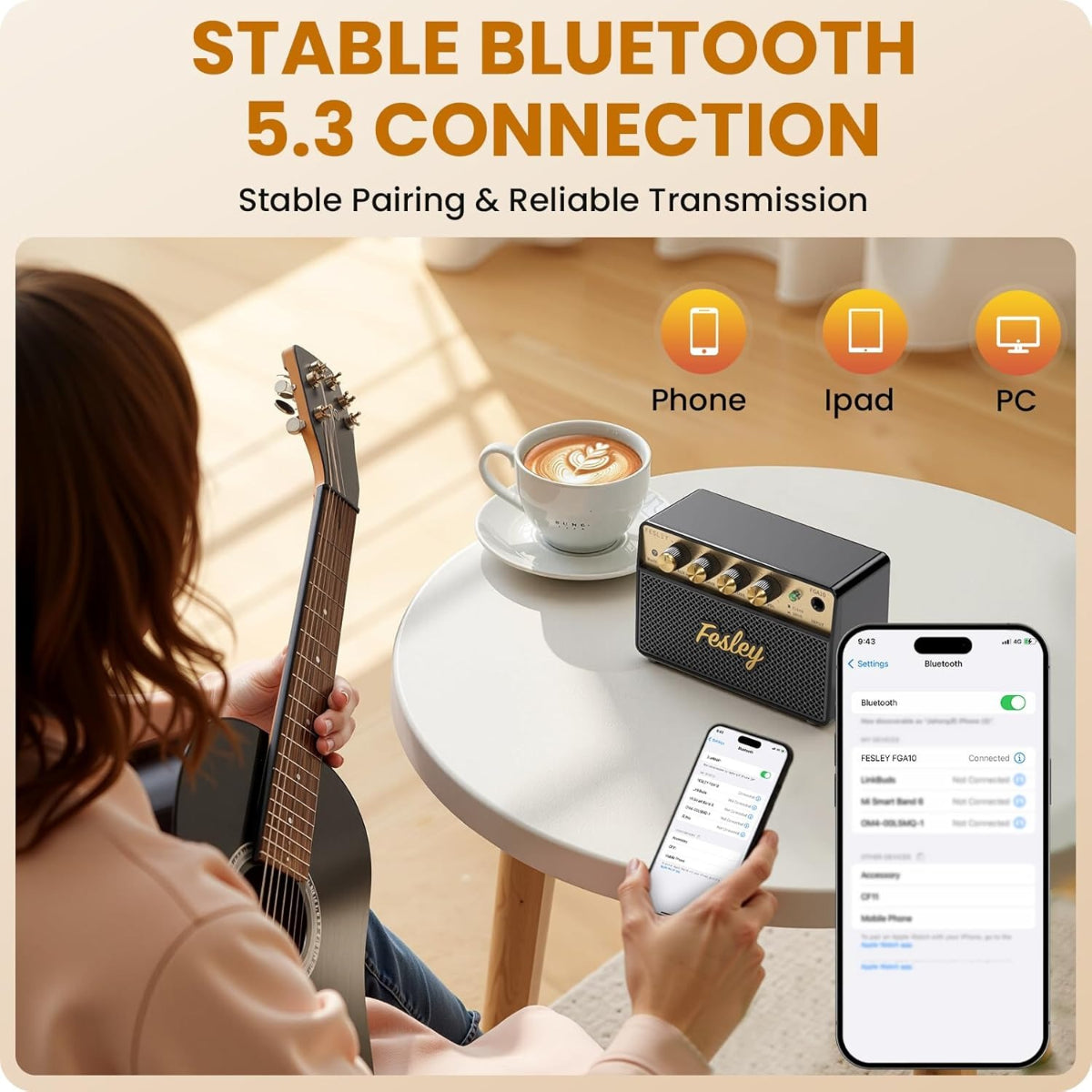 Amplifier Fesley FGA10, Combo 10W