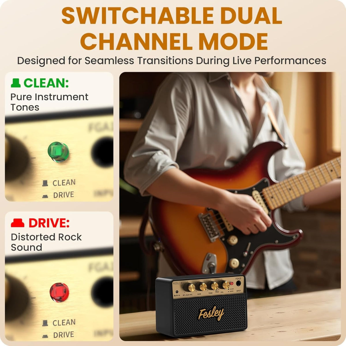 Amplifier Fesley FGA10, Combo 10W