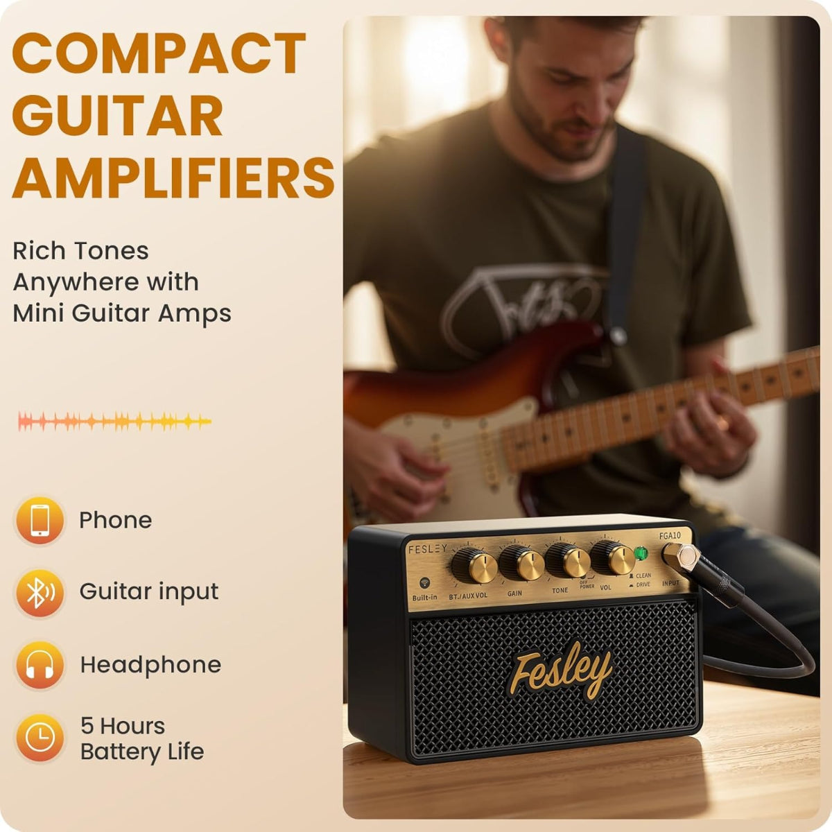 Amplifier Fesley FGA10, Combo 10W