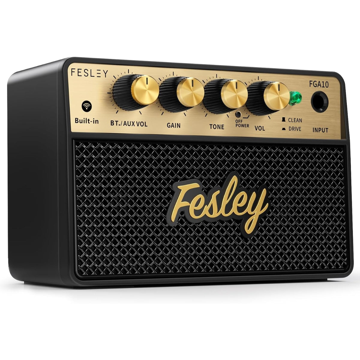  Amplifier Fesley FGA10, Combo 10W