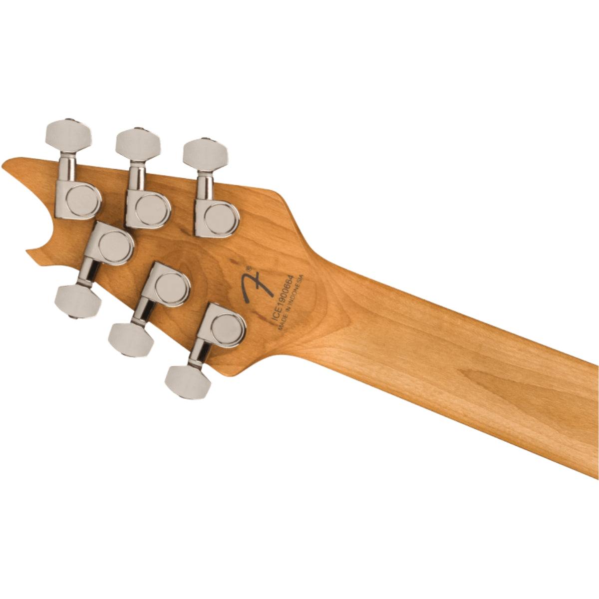 Đàn Guitar Điện EVH Wolfgang WG Standard Exotic Zebrawood, Natural