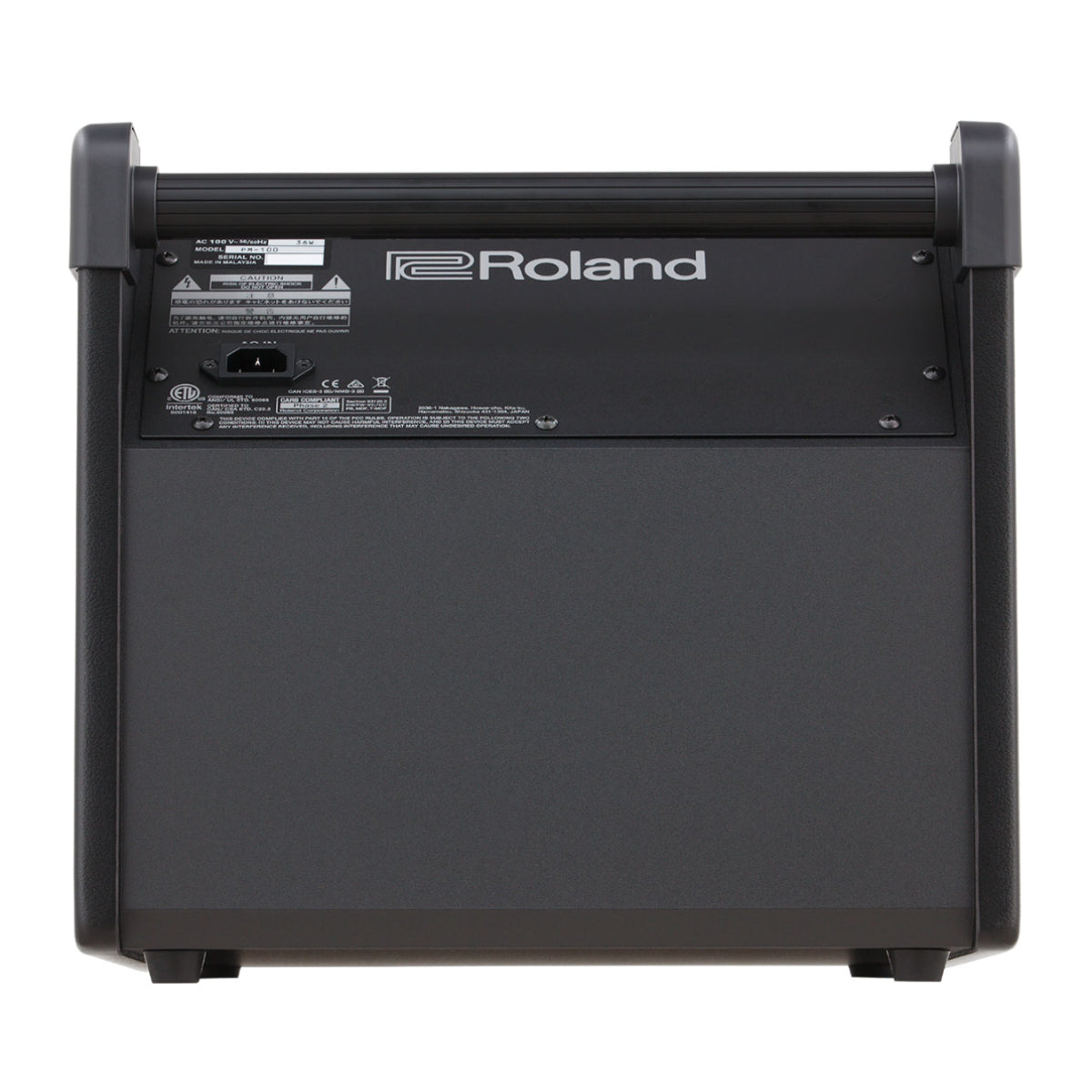 Amplifier Roland PM 100