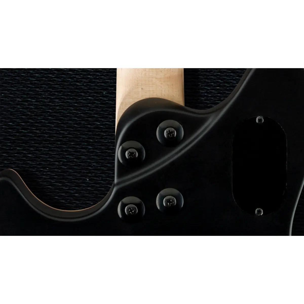 Đàn Guitar Điện Wolfgang Special Ebony Fingerboard, Stealth Black