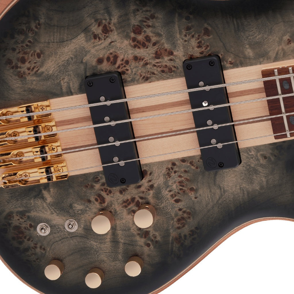 Đàn Guiar Bass Jackson Pro Series Spectra Bass SBP IV, Transpanrent Black Burst, #2919914585