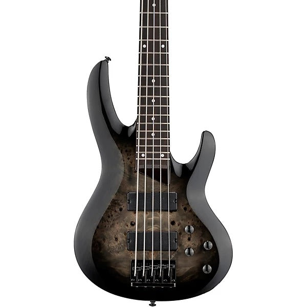 Đàn Guitar Bass 5 Dây ESP LTD B205DX, Black Burst
