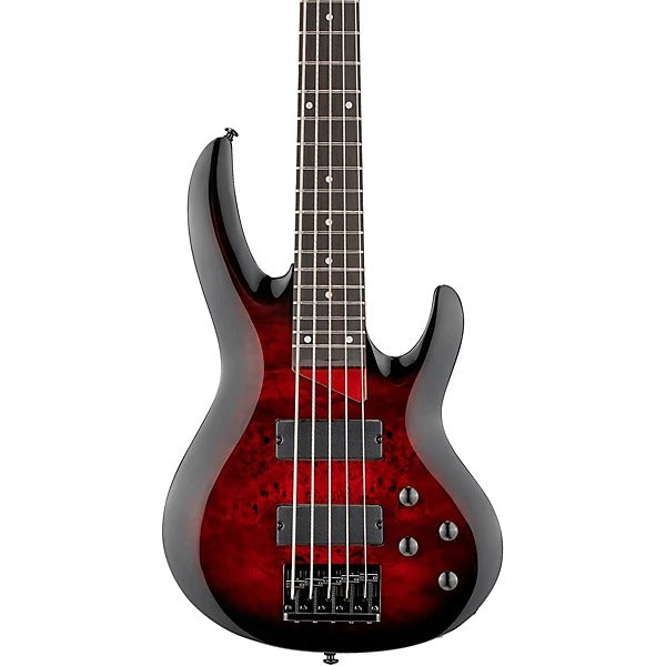Đàn Guitar Bass 5 Dây ESP LTD B205DX, Red Burst