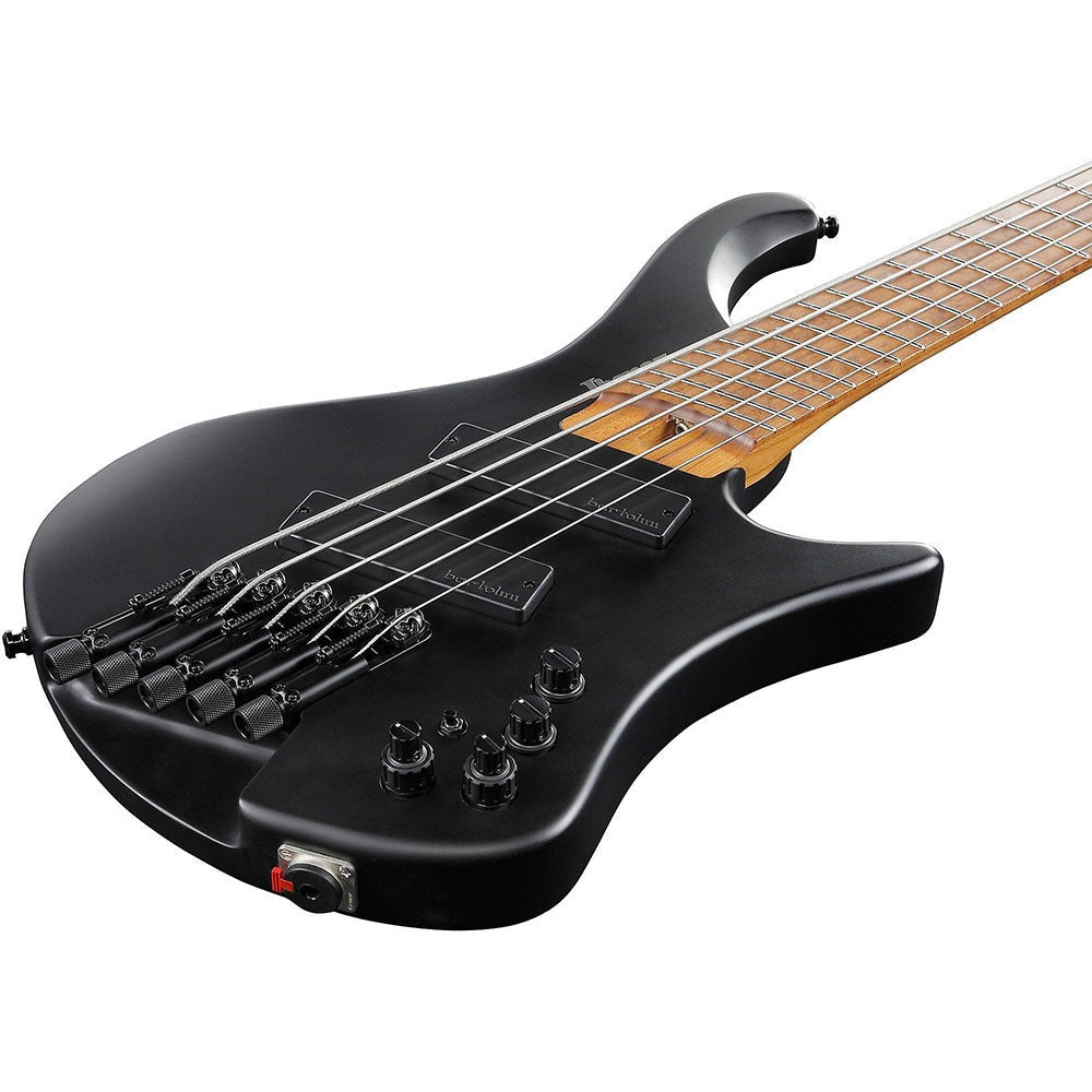 Đàn Guitar Bass 5 Dây Ibanez EHB1005MS, Black Flat