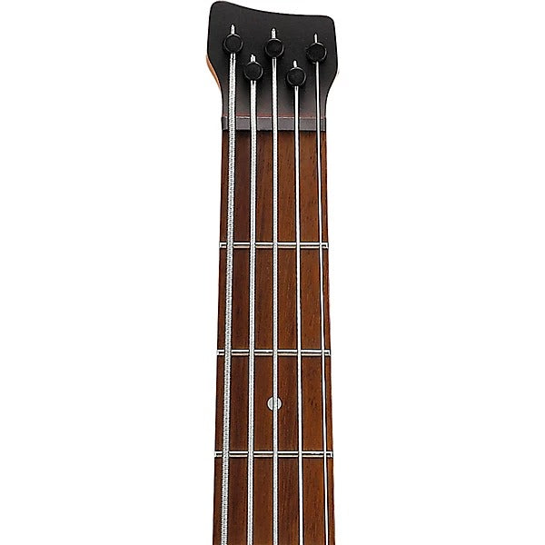 Đàn Guitar Bass 5 Dây Ibanez EHB605, Purist Blue Matte
