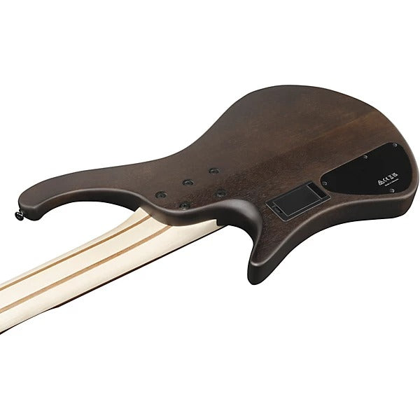 Đàn Guitar Bass 5 Dây Ibanez EHB605, Walnut Flat