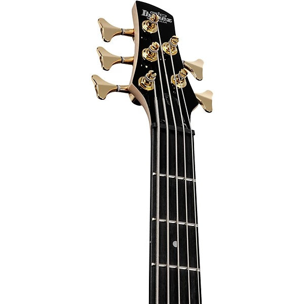 Đàn Guitar Bass 5 Dây Ibanez GSR205PC, Transparent Pale Black Burst