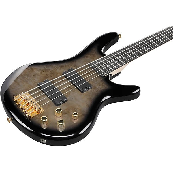 Đàn Guitar Bass 5 Dây Ibanez GSR205PC, Transparent Pale Black Burst