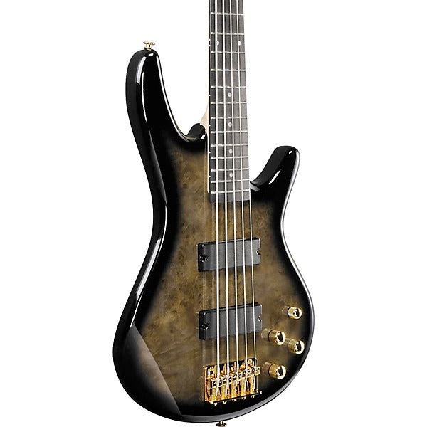 Đàn Guitar Bass 5 Dây Ibanez GSR205PC, Transparent Pale Black Burst