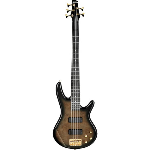 Đàn Guitar Bass 5 Dây Ibanez GSR205PC, Transparent Pale Black Burst