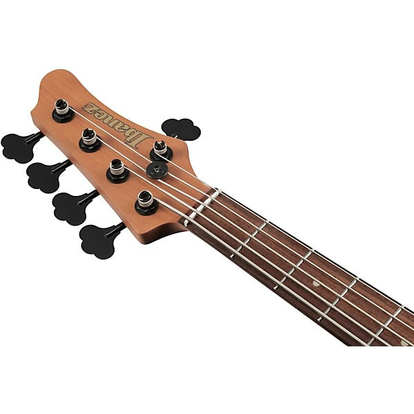 Đàn Guitar Bass 5 Dây Ibanez MDM1005, Midnight Arctic Ocean Matte