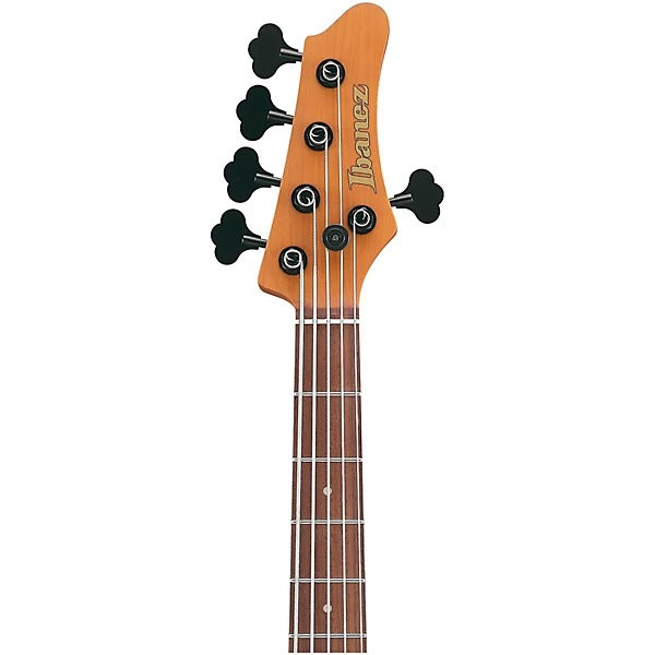 Đàn Guitar Bass 5 Dây Ibanez MDM1005, Midnight Arctic Ocean Matte