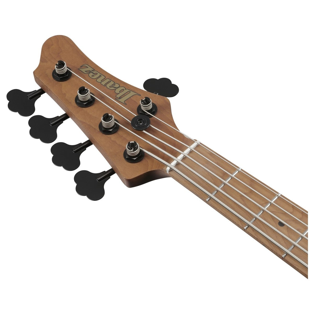 Đàn Guitar Bass 5 Dây Ibanez MDM1305, Natural Stained Amber Burst