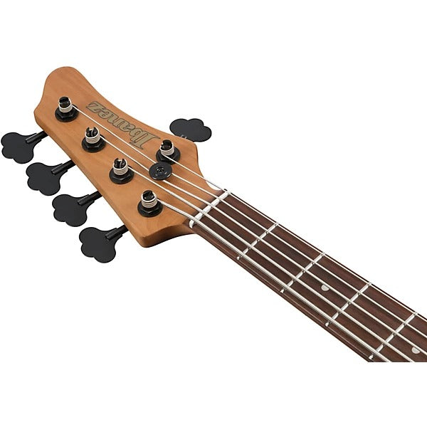 Đàn Guitar Bass 5 Dây Ibanez MDM1605, Deep Twilight