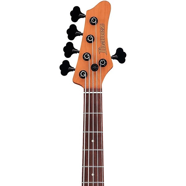 Đàn Guitar Bass 5 Dây Ibanez MDM1605, Deep Twilight