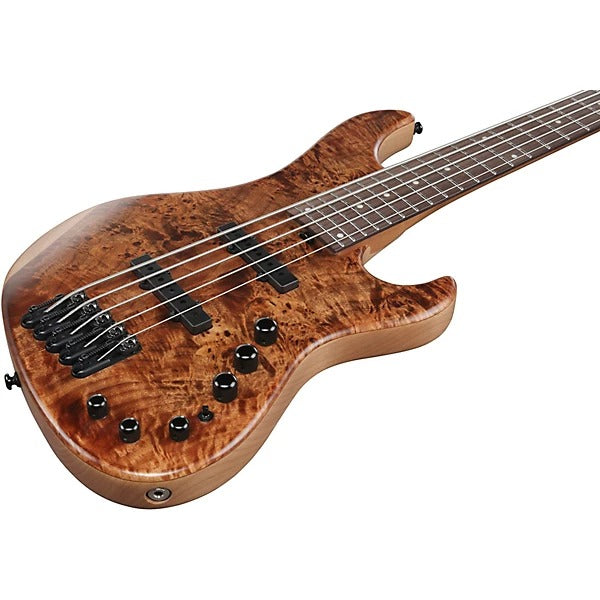 Đàn Guitar Bass 5 Dây Ibanez MDM1605, Natural Mocha Low Gloss