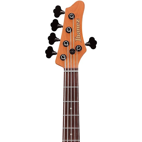 Đàn Guitar Bass 5 Dây Ibanez MDM1605, Natural Mocha Low Gloss