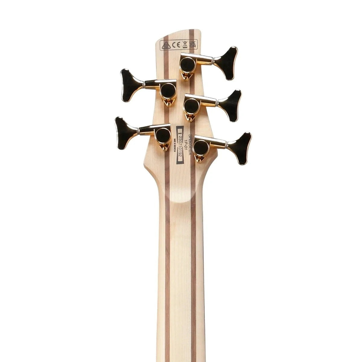 Đàn Guitar Bass 5 Dây Ibanez SR305EDX, Black Ice Frozen Matte