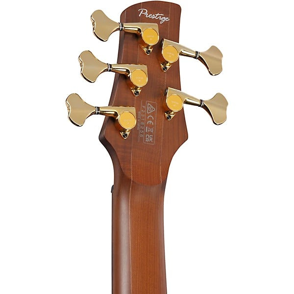 Đàn Guitar Bass 5 Dây Ibanez SR3505, Black