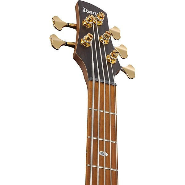 Đàn Guitar Bass 5 Dây Ibanez SR4505, Desert Sunset Burst