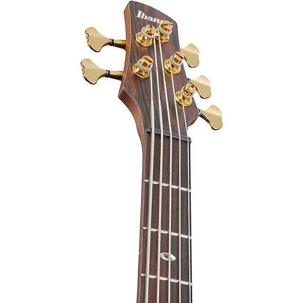 Đàn Guitar Bass 5 Dây Ibanez SR5505, Mocha Flat