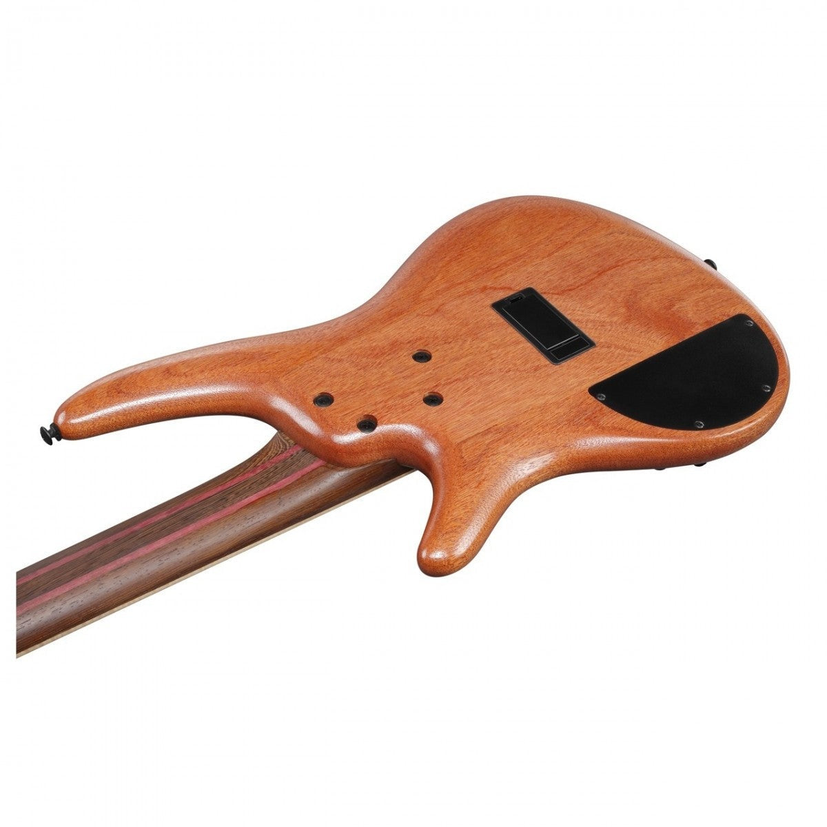 Đàn Guitar Bass 5 Dây Ibanez SR5FMDX2, Natural Low Gloss