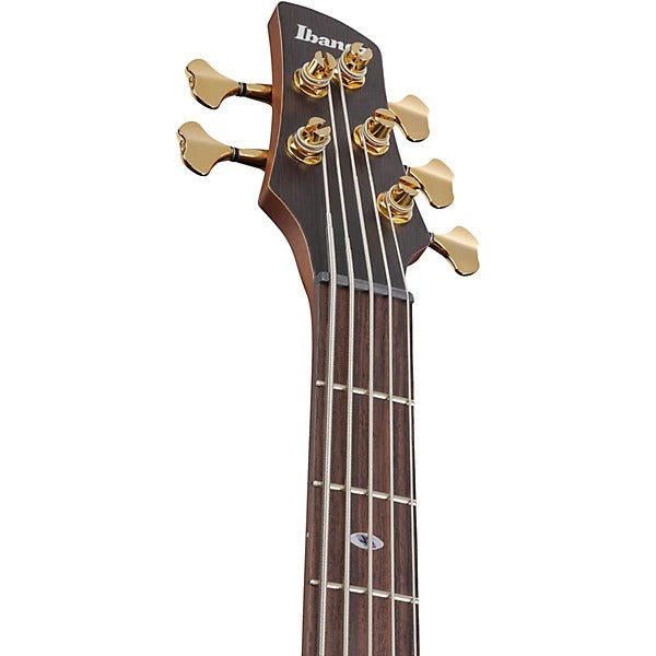 Đàn Guitar Bass 5 Dây Ibanez SR6605, Ghost Fleet Blue Burst