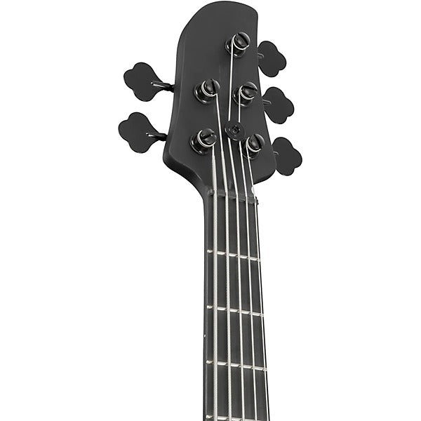Đàn Guitar Bass 5 Dây Ibanez TMB425B, Black Flat