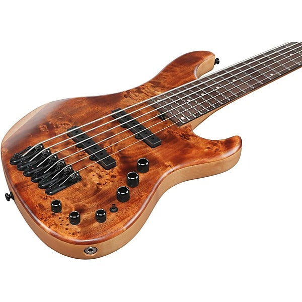 Đàn Guitar Bass 6 Dây Ibanez MDM1606, Natural Mocha Low Gloss
