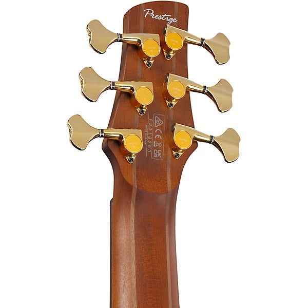 Đàn Guitar Bass 6 Dây Ibanez SR3506, Black