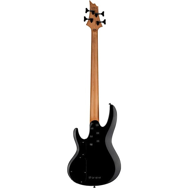 Đàn Guitar Bass ESP LTD B204DX, Black Burst