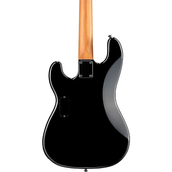 Đàn Guitar Bass ESP LTD Surveyor 204DX, Black Burst