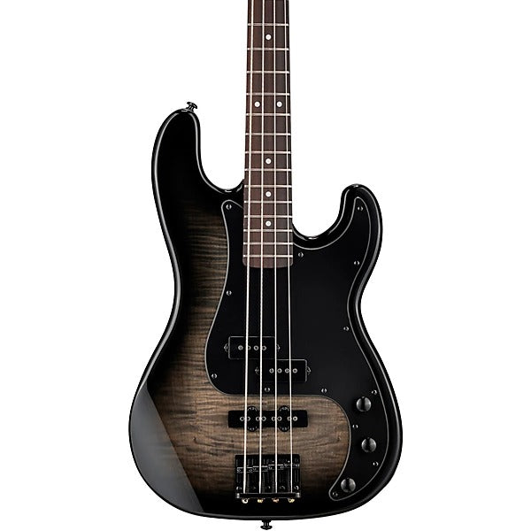 Đàn Guitar Bass ESP LTD Surveyor 204DX, Black Burst