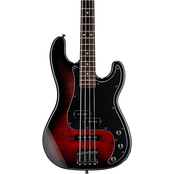 Đàn Guitar Bass ESP LTD Surveyor 204DX, Red Burst