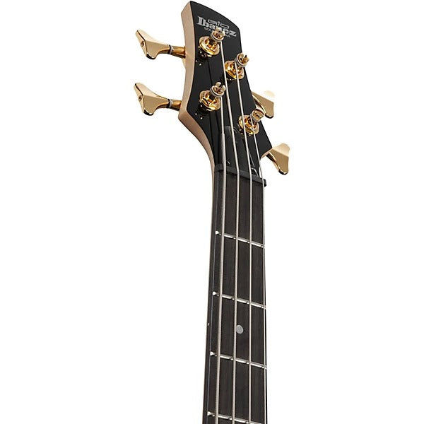 Đàn Guitar Bass Ibanez Ibanez GSR200PC, Transparent Pale Black Burst