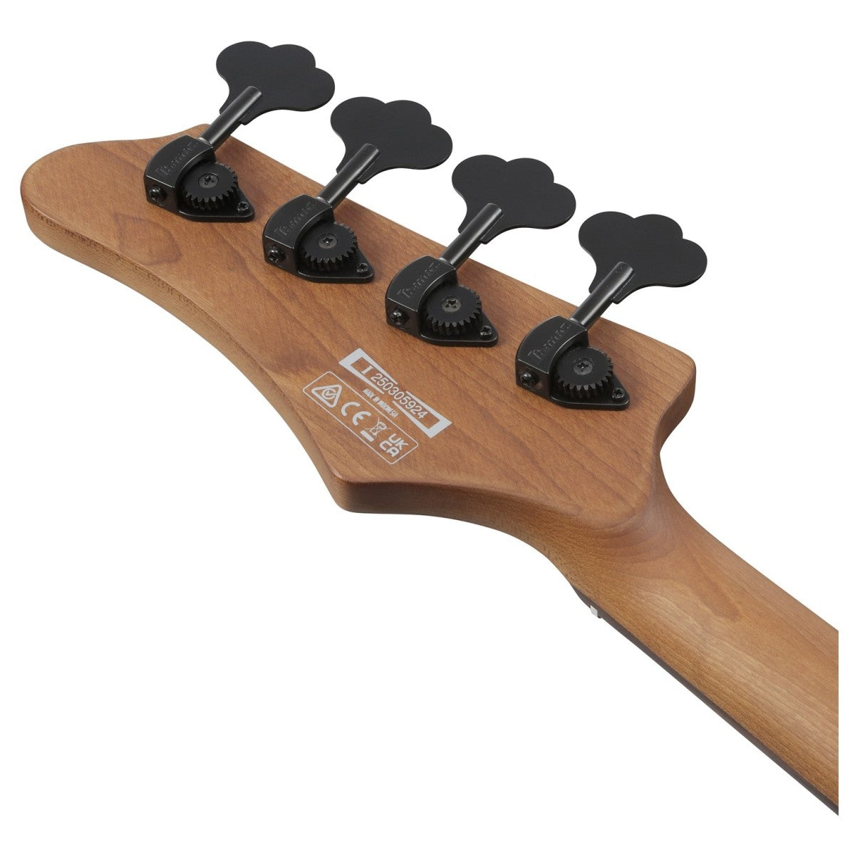 Đàn Guitar Bass Ibanez MDM1600, Natural Mocha Low Gloss