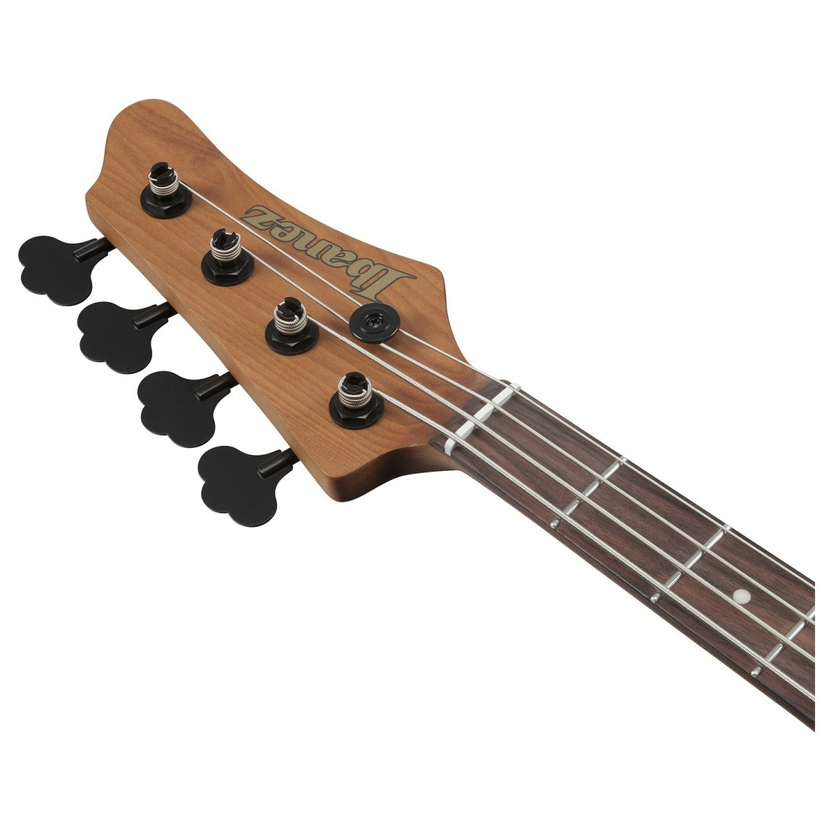 Đàn Guitar Bass Ibanez MDM1600, Natural Mocha Low Gloss