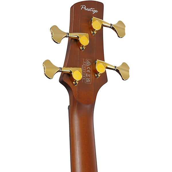 Đàn Guitar Bass Ibanez SR5500, Mocha Flat