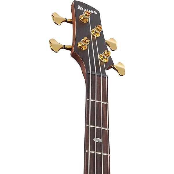 Đàn Guitar Bass Ibanez SR5500, Mocha Flat