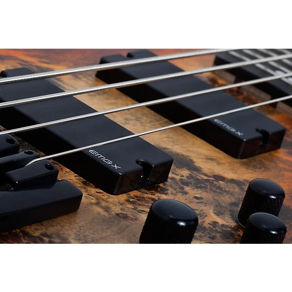 Đàn Guitar Bass Schecter Riot 4, Inferno Burst