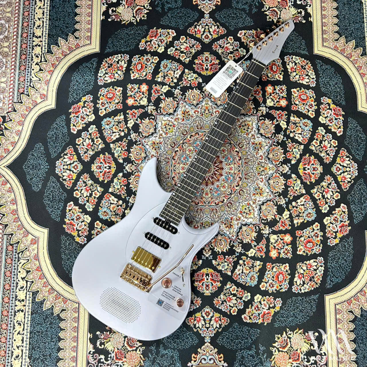 Đàn Guitar Điện Enya Inspire, Ozielzinho