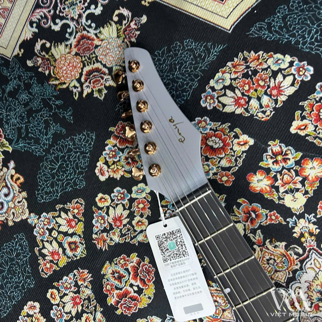 Đàn Guitar Điện Enya Inspire, Ozielzinho