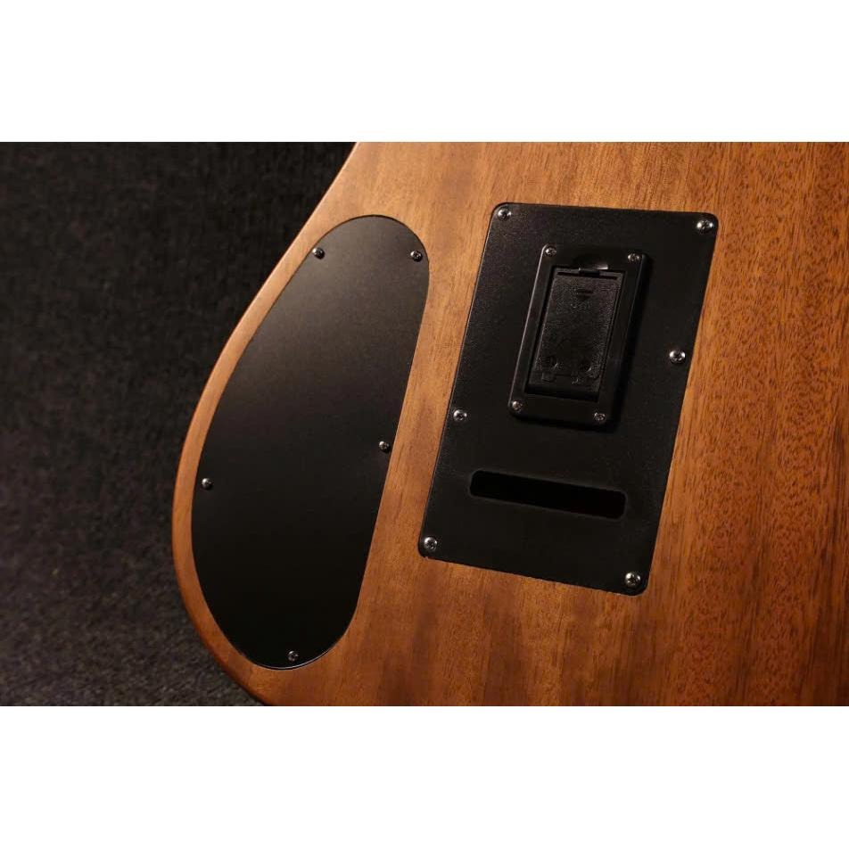 Đàn Guitar Điện Sqoe SEAE910, Natural