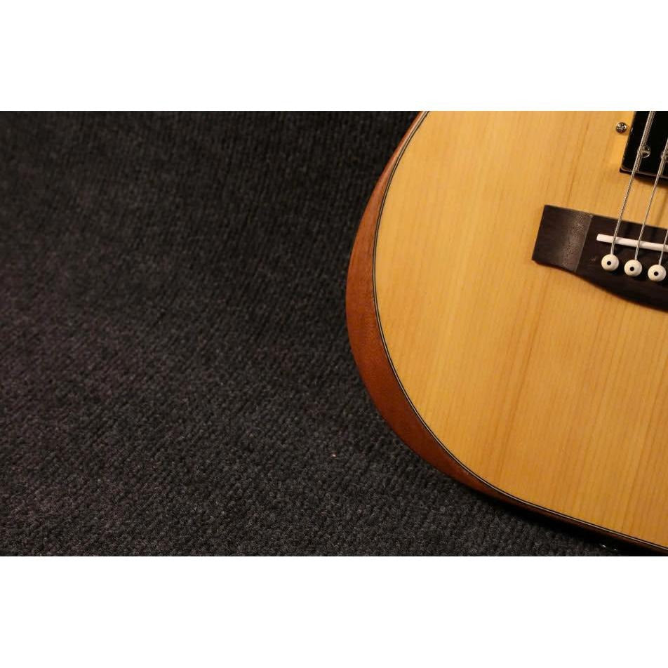 Đàn Guitar Điện Sqoe SEAE910, Natural