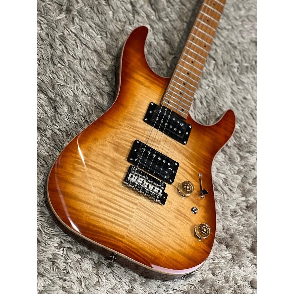 Đàn Guitar Điện Sqoe SEIB650, Autumn Burst