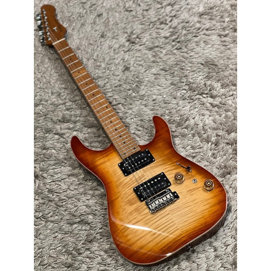 Đàn Guitar Điện Sqoe SEIB650, Autumn Burst